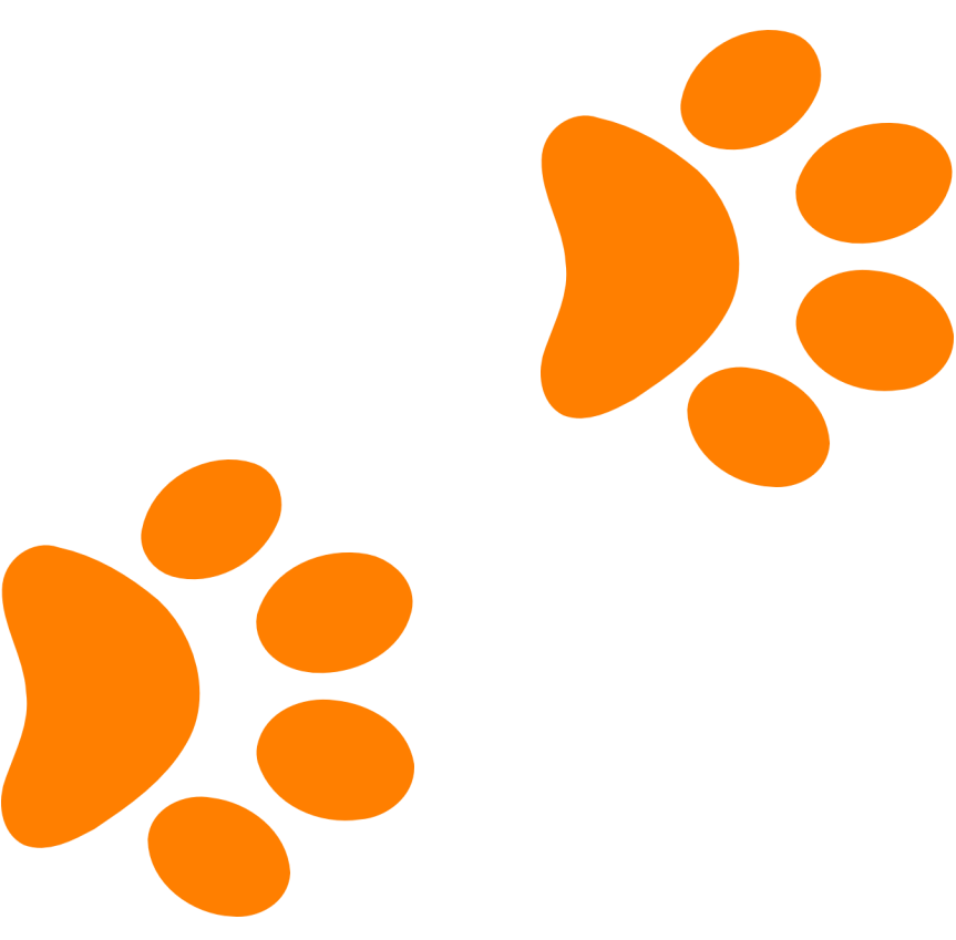 paw-print-icon