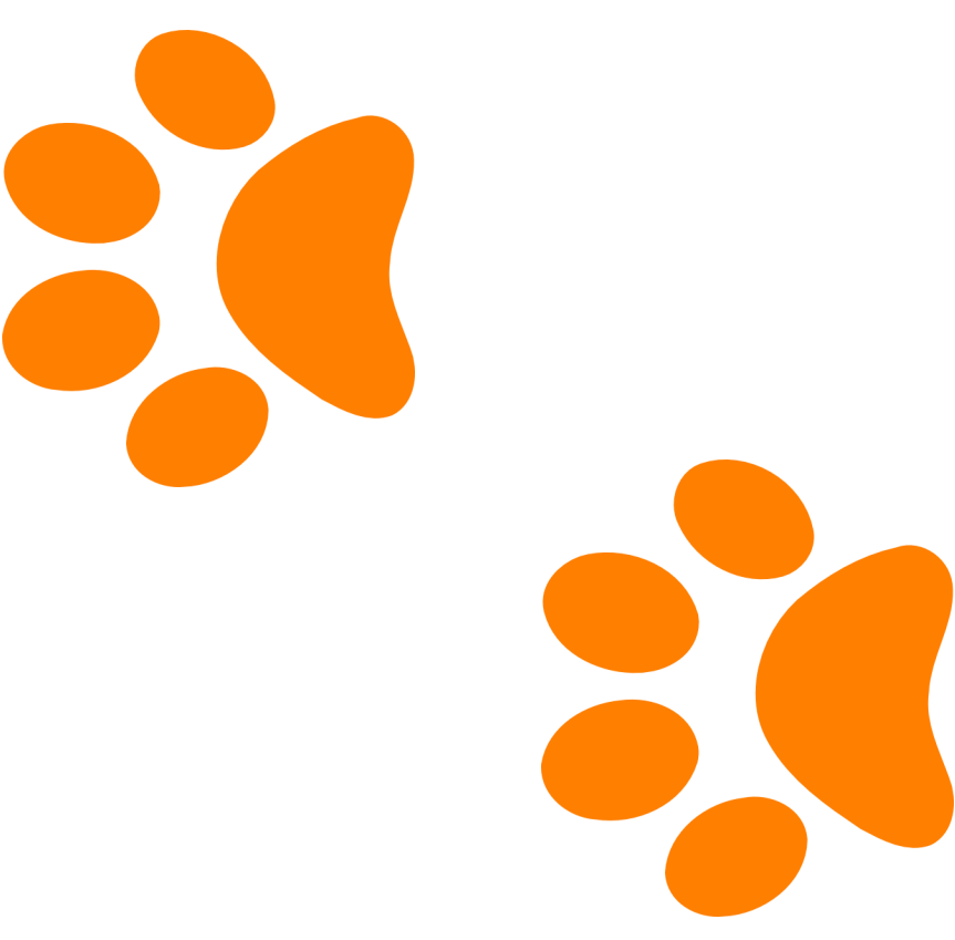 paw-print-icon