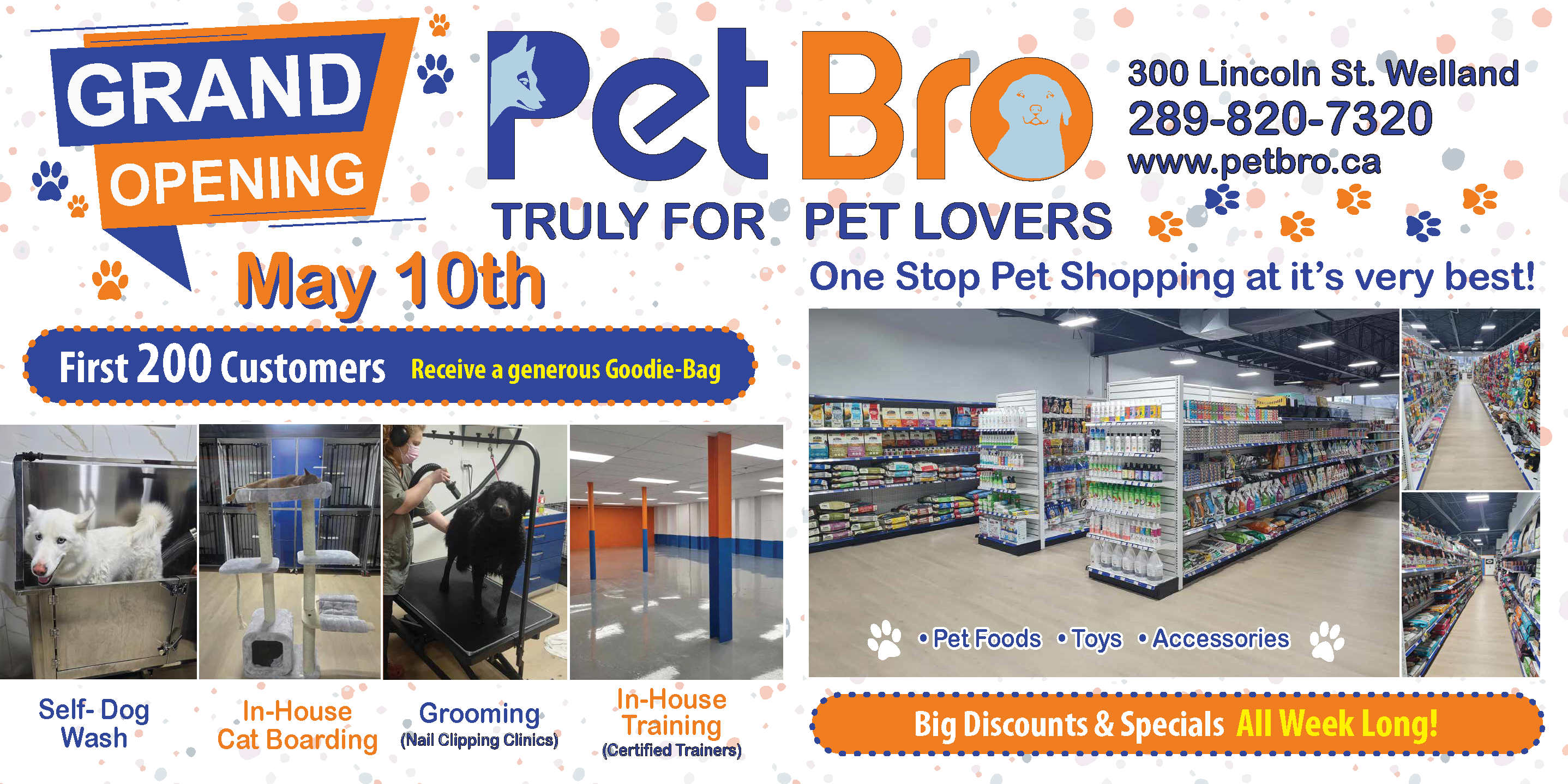Promotions Flyer